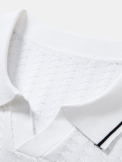 Textured Knit Polo with Contrast Trim and Johnny Collar